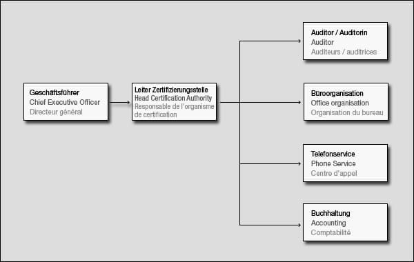 Organisationsstruktur